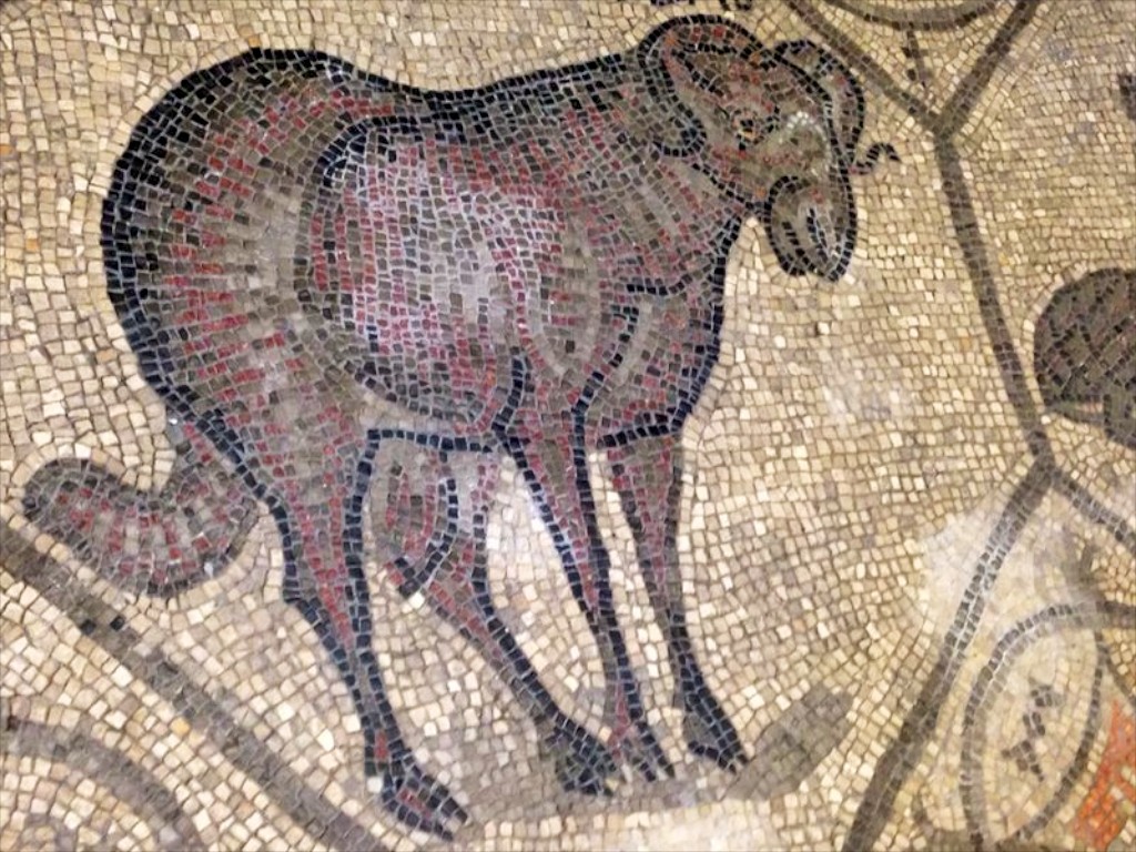 mosaics Aquileia.jpg 43