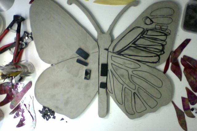 butterflywip12