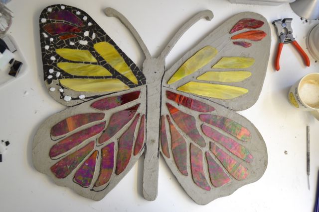 butterflywip15