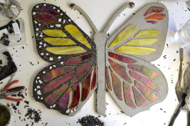 butterflywip16