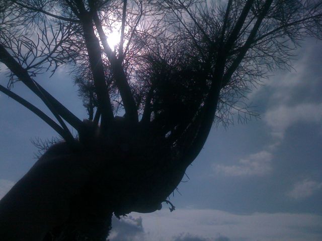 allot 7