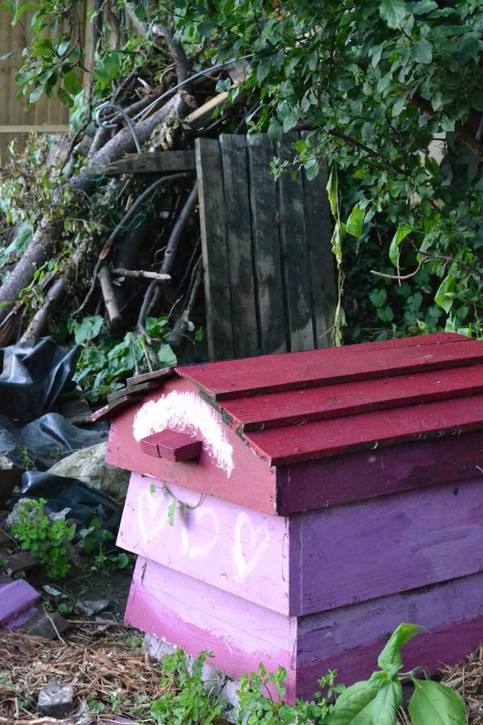 Allotment 6