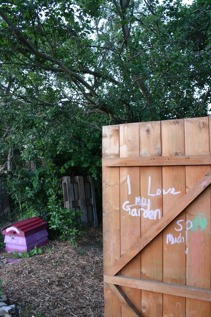 Allotment 7