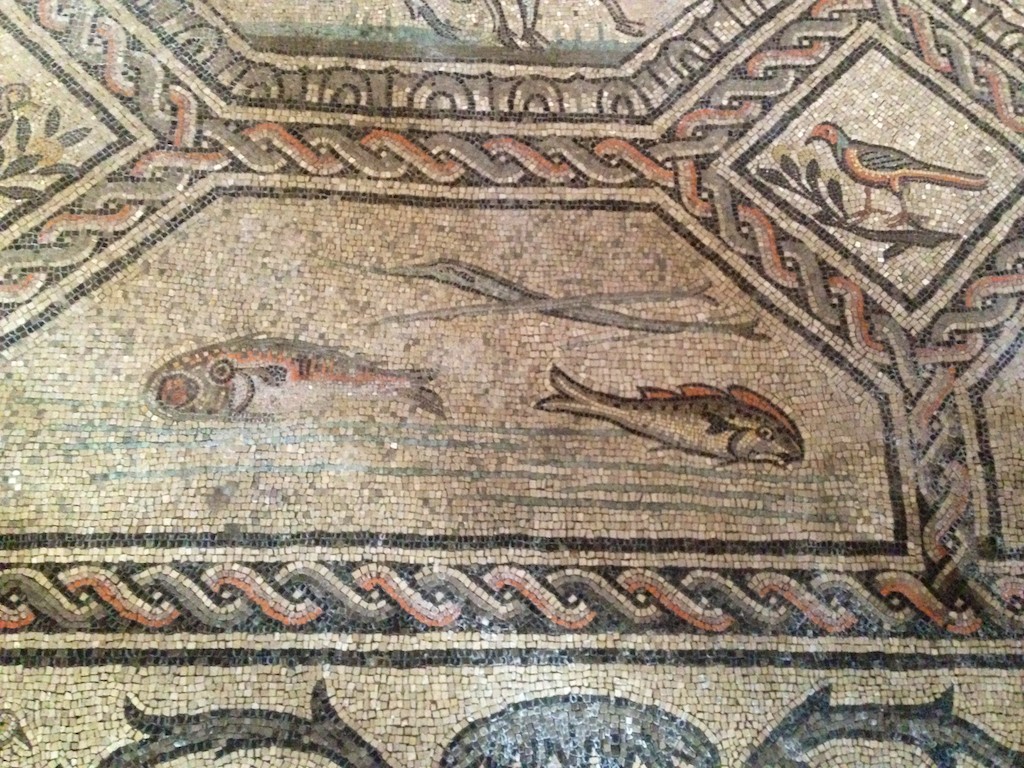 mosaics Aquileia.jpg 23