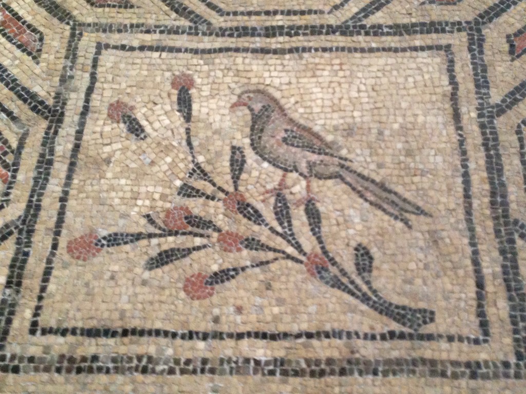 mosaics Aquileia.jpg 34